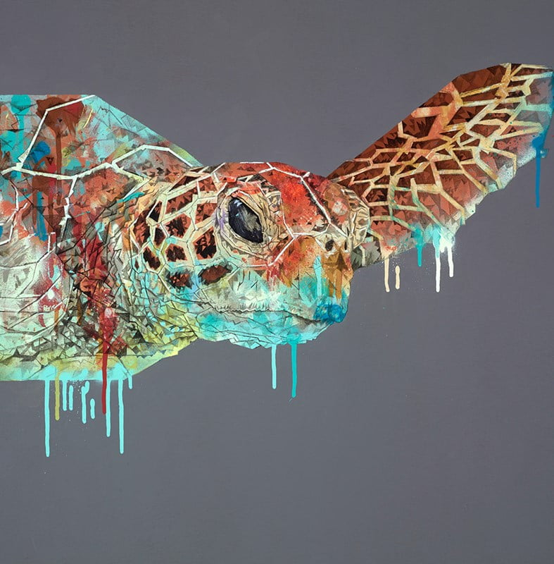 Stephen Ford