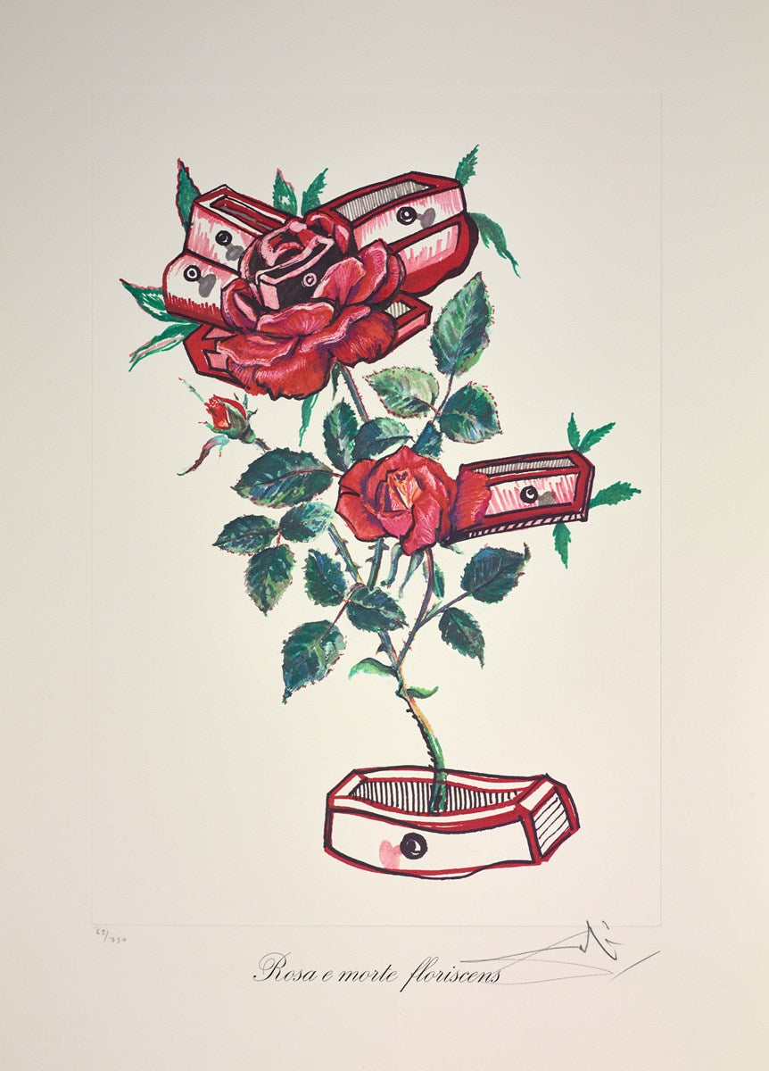 Rosa e morte floriscens ,1972