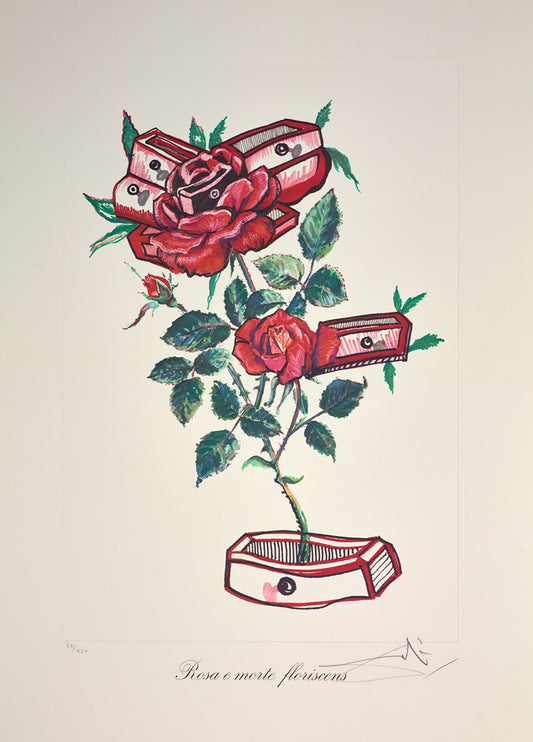 Rosa e morte floriscens ,1972