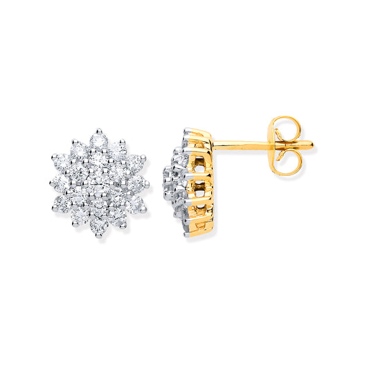 9ct Gold 1.00ct Diamond Cluster Stud Earrings